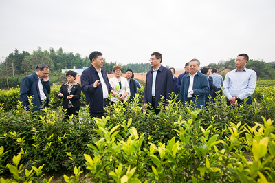 張小平在新余開展壯大農業龍頭企業調研 科技賦能助推農業現代化